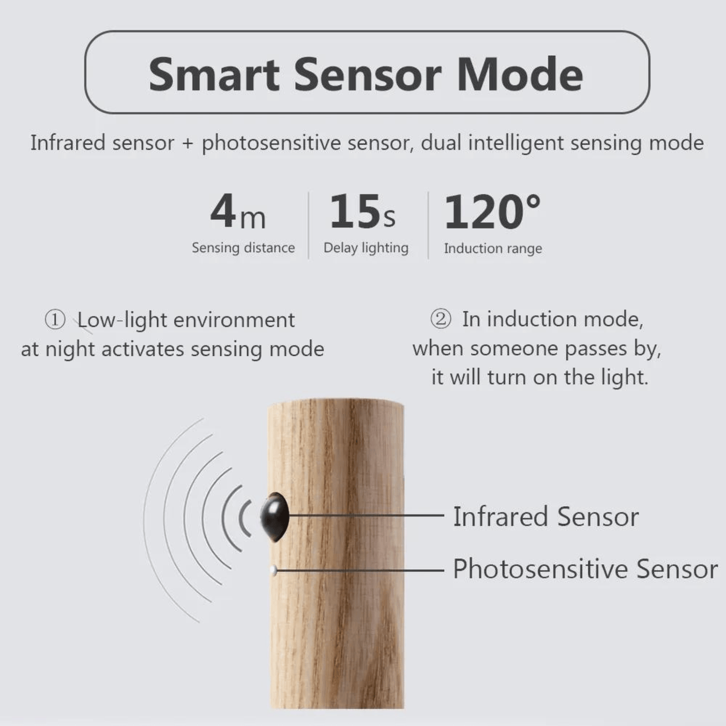 LumiSense ProMotion Light