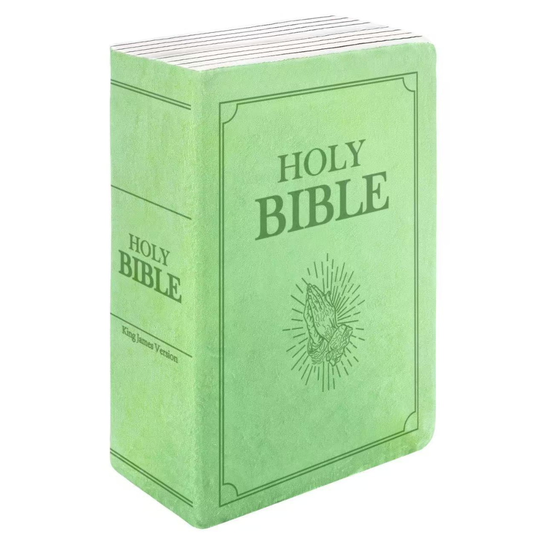 Holy Bible Pillow